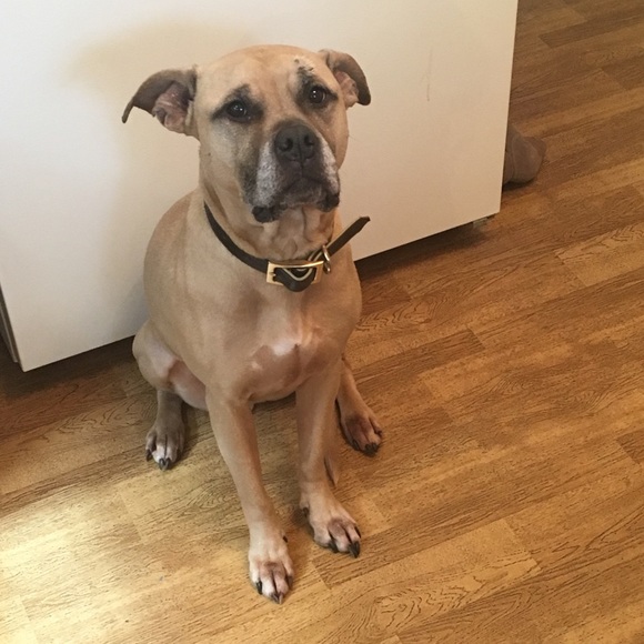 About Me! - Picture 2 of 3